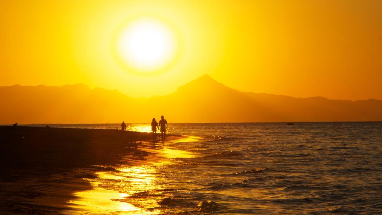 Villa El Palmar Denia Dış mekan fotoğraf