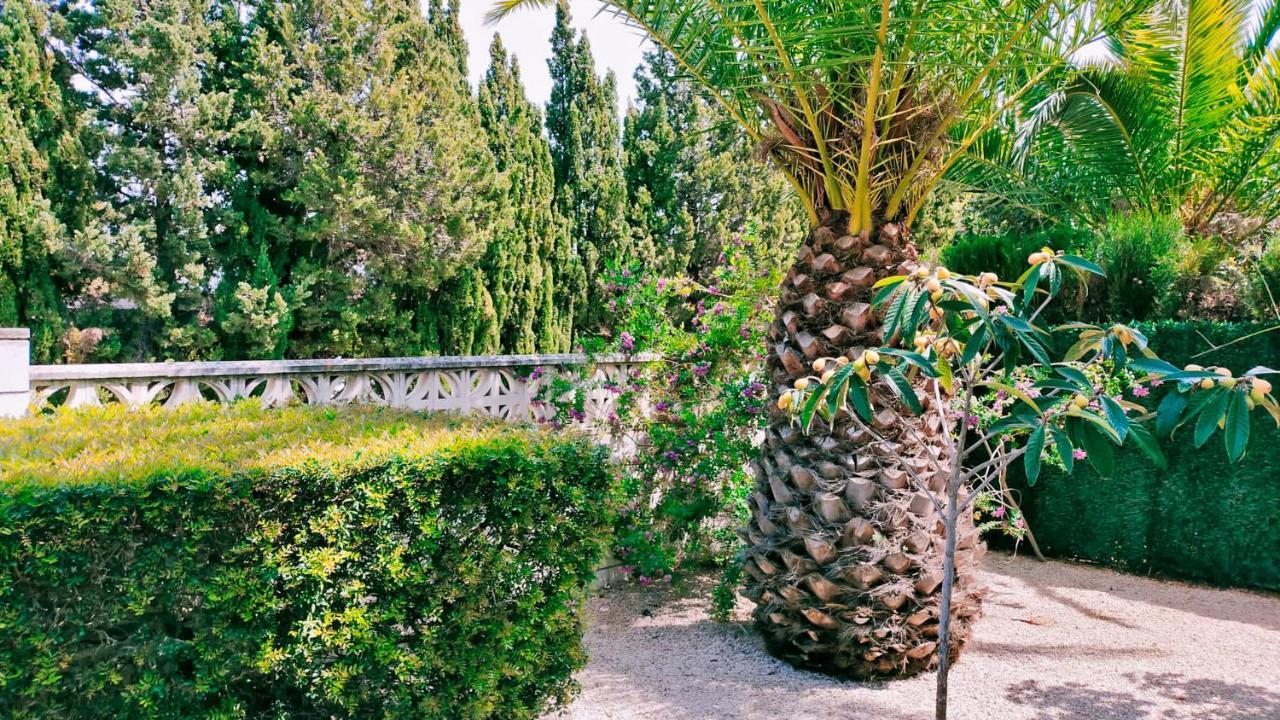 Villa El Palmar Denia Dış mekan fotoğraf