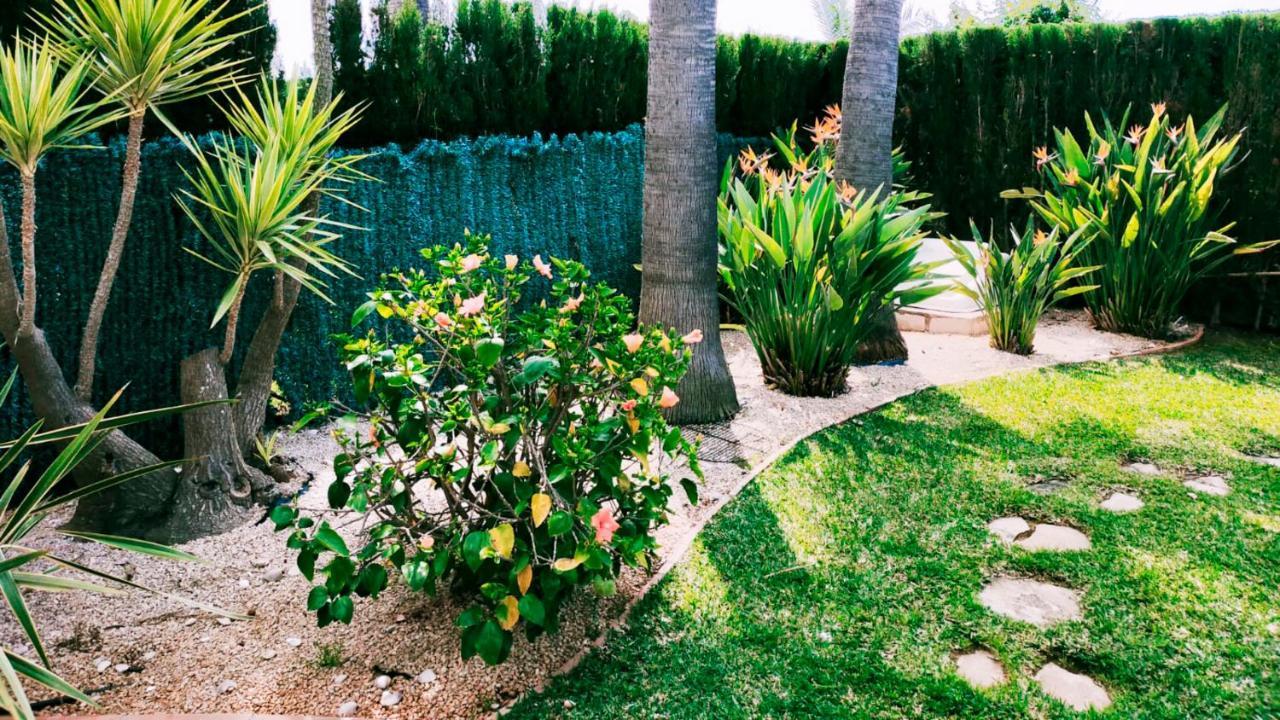 Villa El Palmar Denia Dış mekan fotoğraf