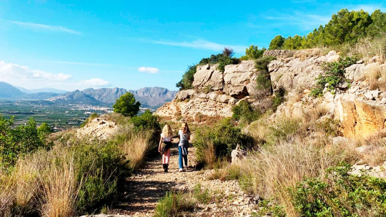 Villa El Palmar Denia Dış mekan fotoğraf